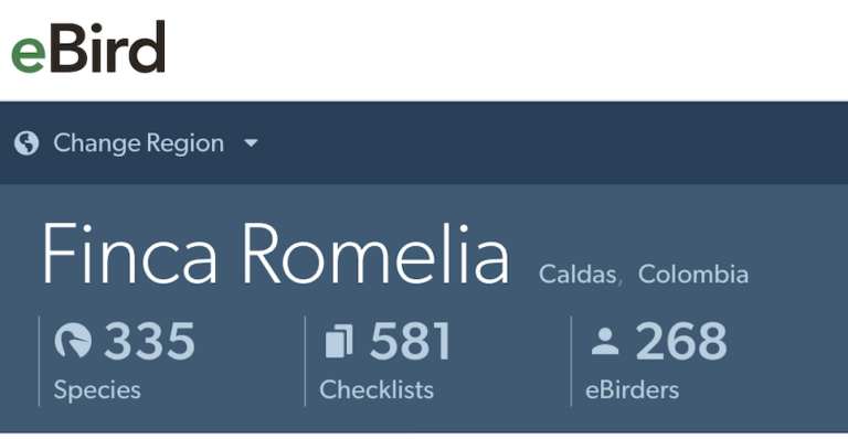 Screenshot 2026 06 07 at 7.45.55 AM 768x398