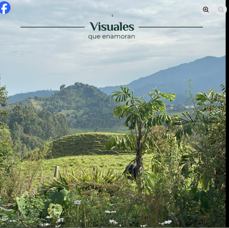 Screenshot 2026 06 07 at 9.55.16 AM 768x763